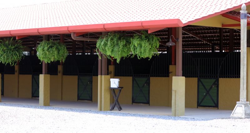 Horse Shelter Construction in Wilmington, NC