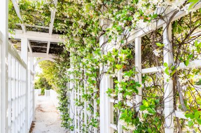 Trellis Construction in Wilmington, NC